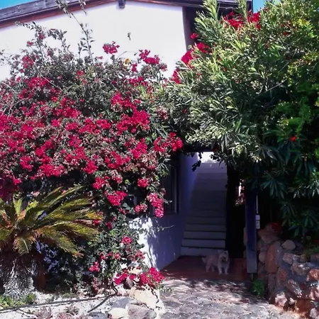 Casa Natural Individualurlaub Abseits Des Massentourismus, Chillen, Wandern, Surfen, Klettern, * La Sabinita